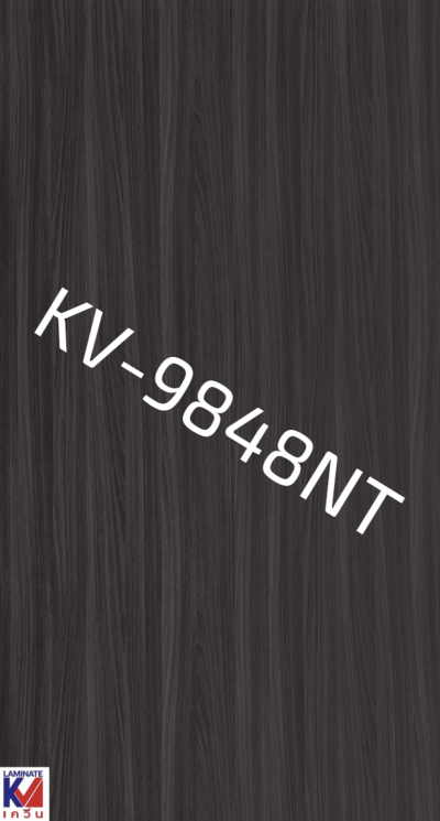 KV-9848NT Blacken