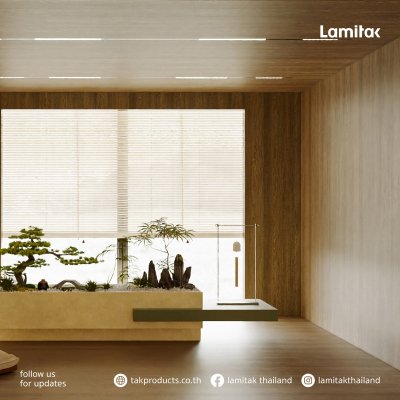 WY 4252X Ryo Shizuoka Oak