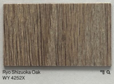 WY 4252X Ryo Shizuoka Oak