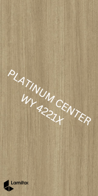 WY 4221X Weathered Eames Teak