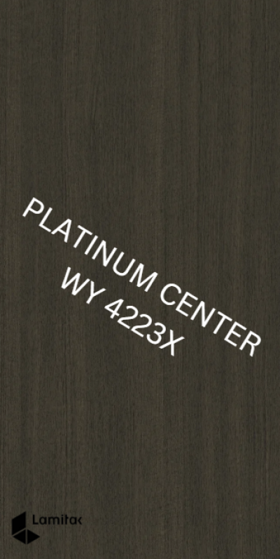 WY 4223X Anthracite Eames Teak