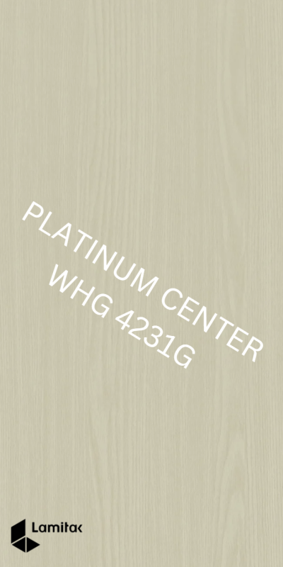 WHG 4231G Cream Akemi Ash Gloss
