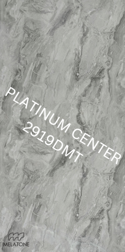 2919DMT Paladina