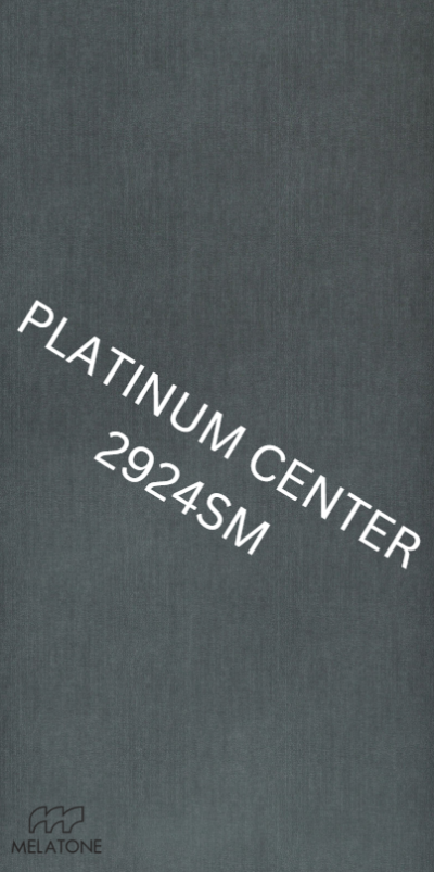 2924SM Herringbone