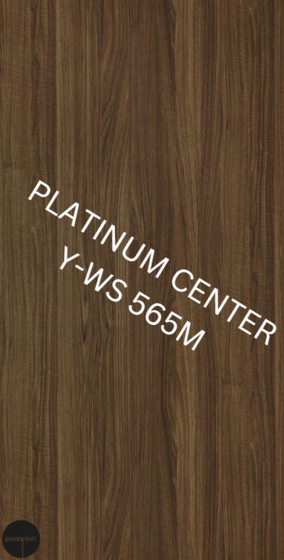 Y-WS 565M Wenge