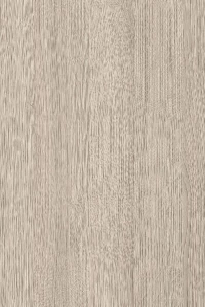 PL 0258 BW - Rijeka Oak