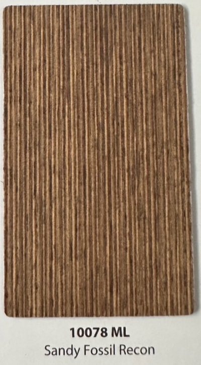 10078 ML Sandy Fossil Recon