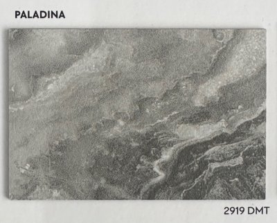 2919DMT Paladina