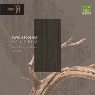 TW10-53001 VM Valga Elm