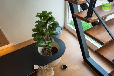 TP6-3826 SE Black Wood