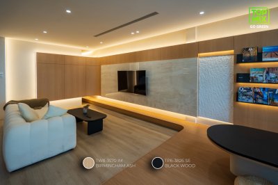 TW8-3570 IM Birmingham Ash