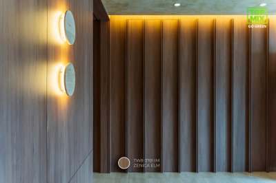 TW8-3781 IM Zenica Elm