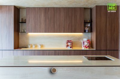 TW8-3781 IM Zenica Elm