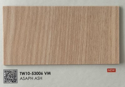 TW10-53006 VM Asaph Ash