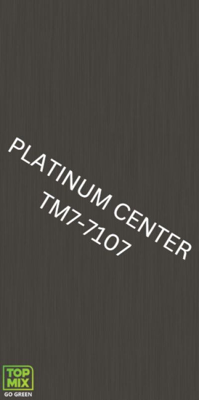 TM7-7107 Dim Grey Hairline