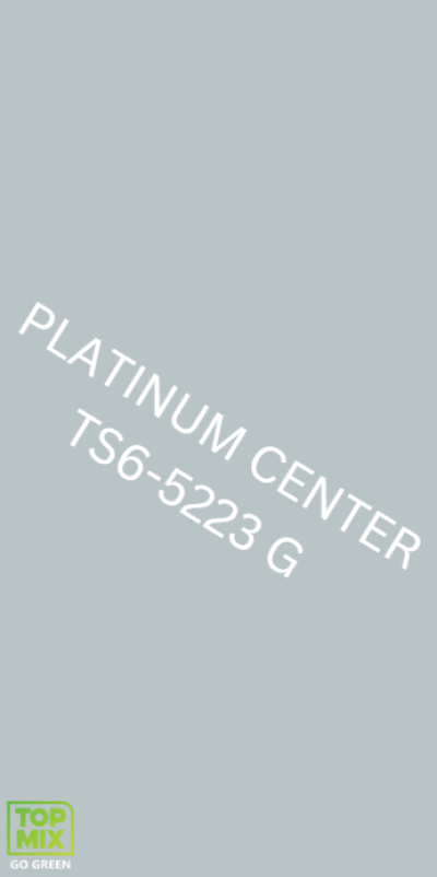 TS6-5223 G Gainsboro Grey