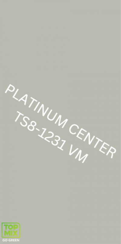 TS8-1231 VM Chelsea Grey