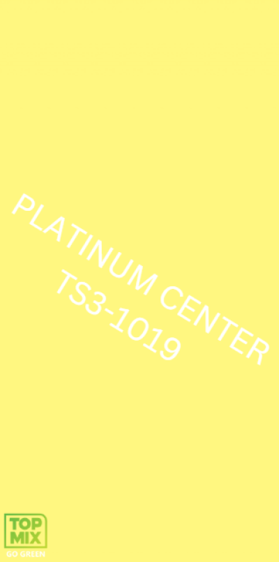 TS3-1019 Chrysanthemum