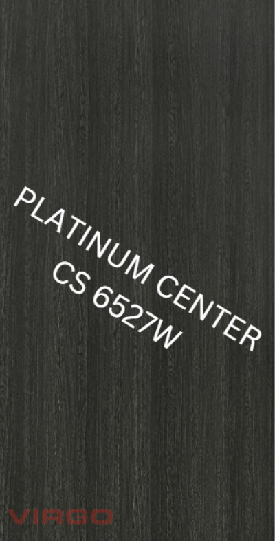 CS 6527W Slate Tandy