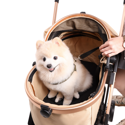 Bernd AVA Pet (Isofix)