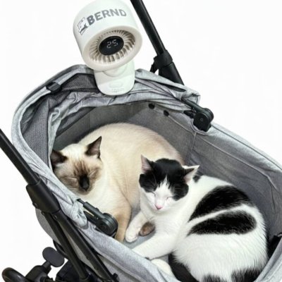 Bernd Stroller Clip Fan 3in1