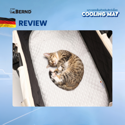 Bernd Cooling MAT เบาะรองเย็นสำหรับสัตว์เลี้ยง ระบายความร้อนดี เบาะรองรถเข็น