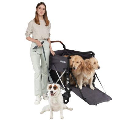 Bernd Bloom Pet Wagon