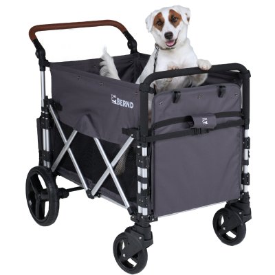 Bernd Bloom Pet Wagon