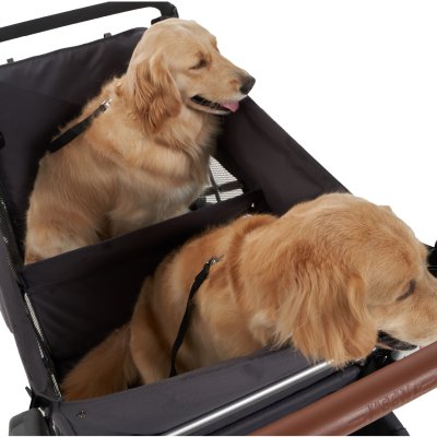 Bernd Bloom Pet Wagon