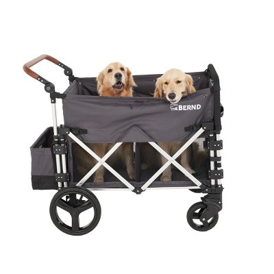 Bernd Bloom Pet Wagon