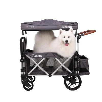 Bernd Bloom Pet Mini