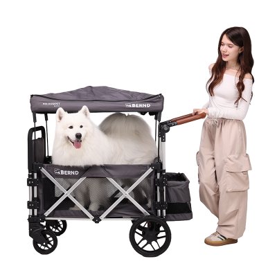 Bernd Bloom Pet Mini