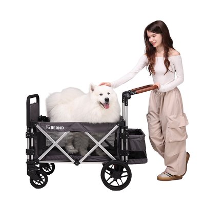 Bernd Bloom Pet Mini