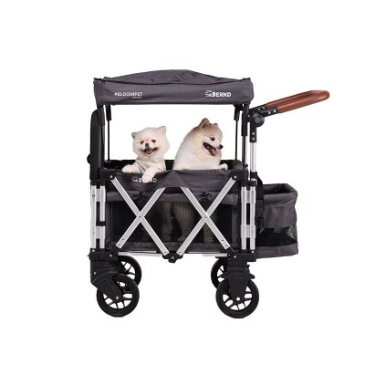 ฺBernd Bloom Pet Nano