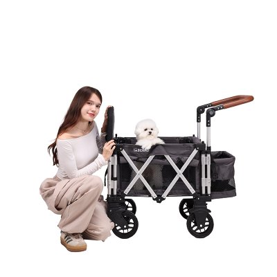ฺBernd Bloom Pet Nano