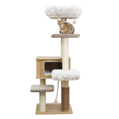 Catry รุ่น Cat Tree Casio