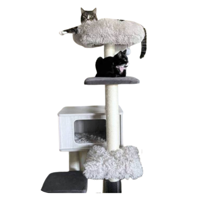 Catry รุ่น Cat Tree Casio