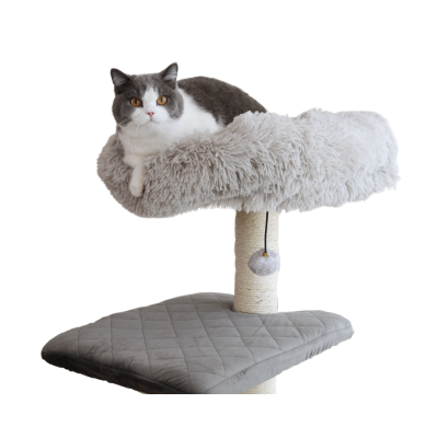 Catry รุ่น Cat Tree Casio