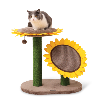 Catry รุ่น Sunflower