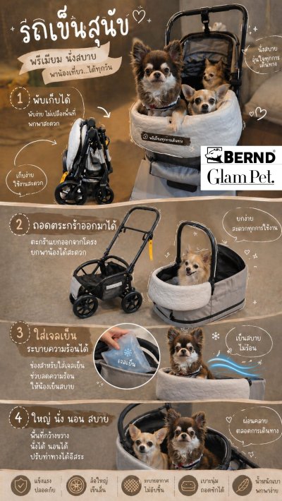 Bernd Glam Pet (Duo Mode) – The ultimate pet stroller and car seat in one. Easily foldable without removing the basket!