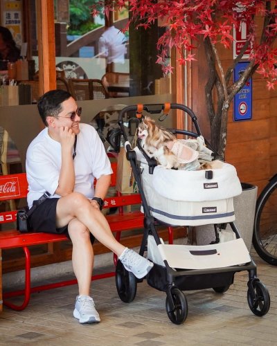 Bernd Glam Pet (Duo Mode) – The ultimate pet stroller and car seat in one. Easily foldable without removing the basket!