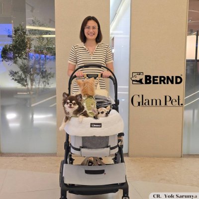 Bernd Glam Pet (Duo Mode) – The ultimate pet stroller and car seat in one. Easily foldable without removing the basket!