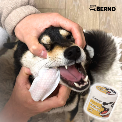 BERND Pet Eye/Ear & Tooth Wipes (50 pcs) – 100% Natural Extracts & Pure EDI Water, 99.9% Anti-Bacterial