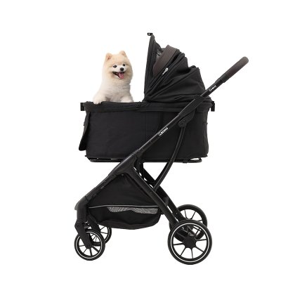 Bernd Groove Pet Autofold