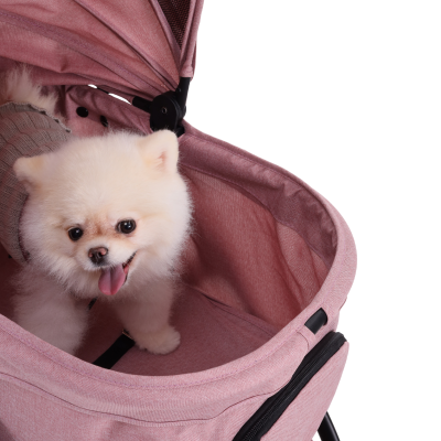 Bernd Lina Pet Autofold