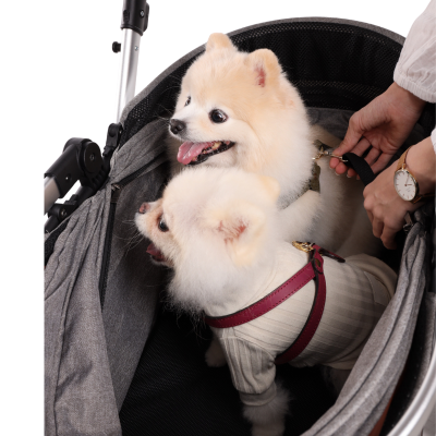 Bernd Prime Pet 2 (Isofix)