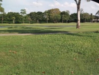 Daily Golf Experience