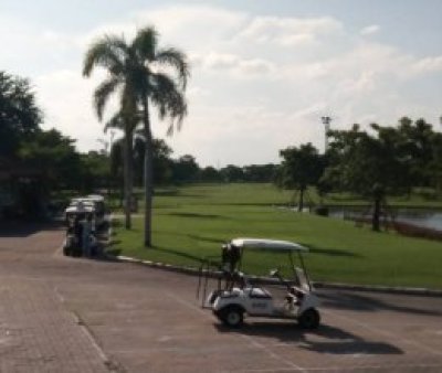 Daily Golf Experience