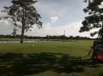 Daily Golf Experience