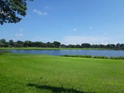 Daily Golf Experience